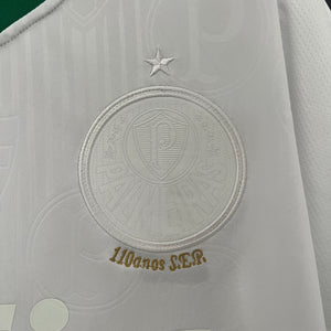 Camisa Palmeiras Edição Especial 24/25 - Versão Torcedor