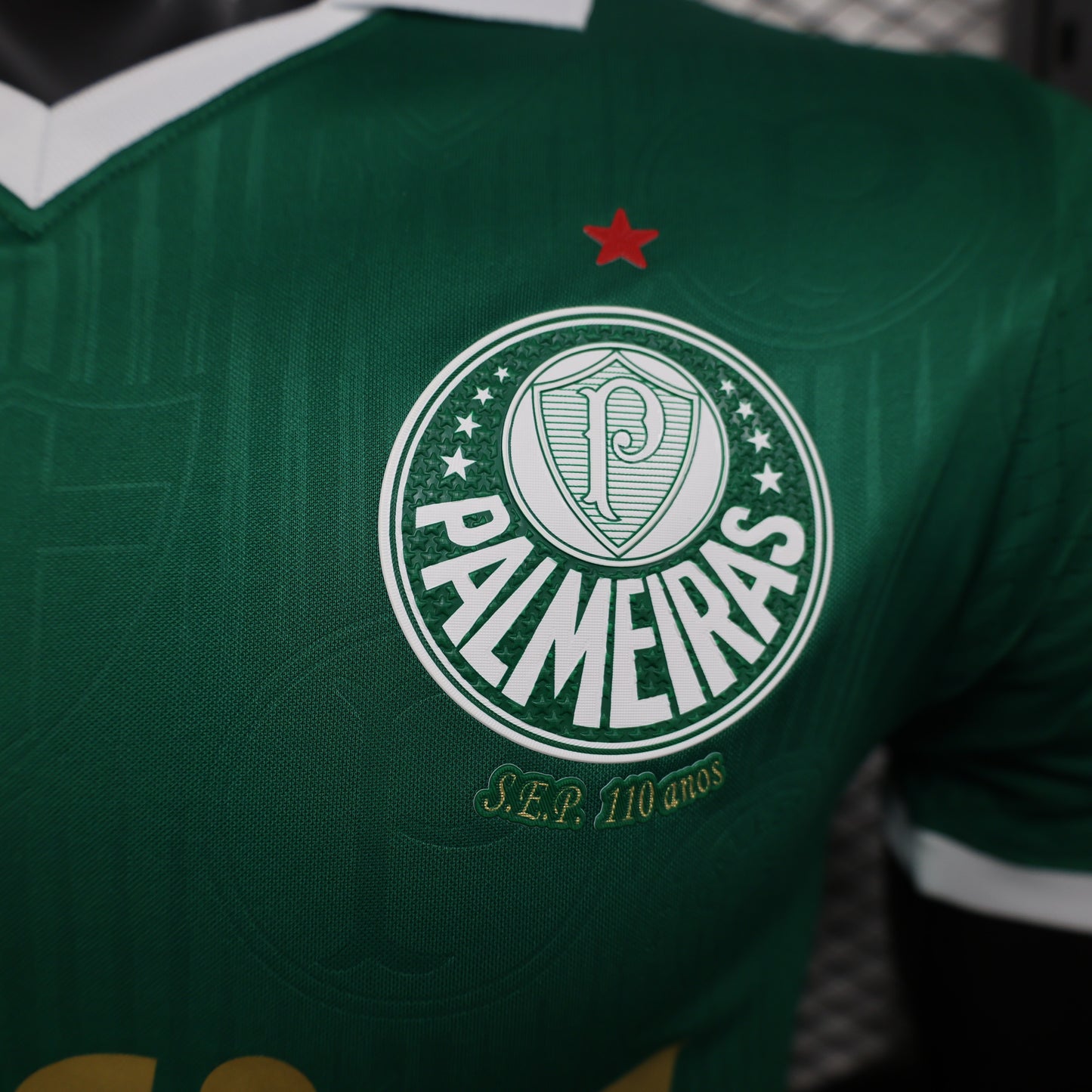 Camisa Palmeiras Titular 24/25 - Versão Jogador