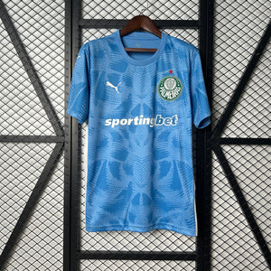 Camisa Palmeiras Goleiro 25/26 - Versão Torcedor