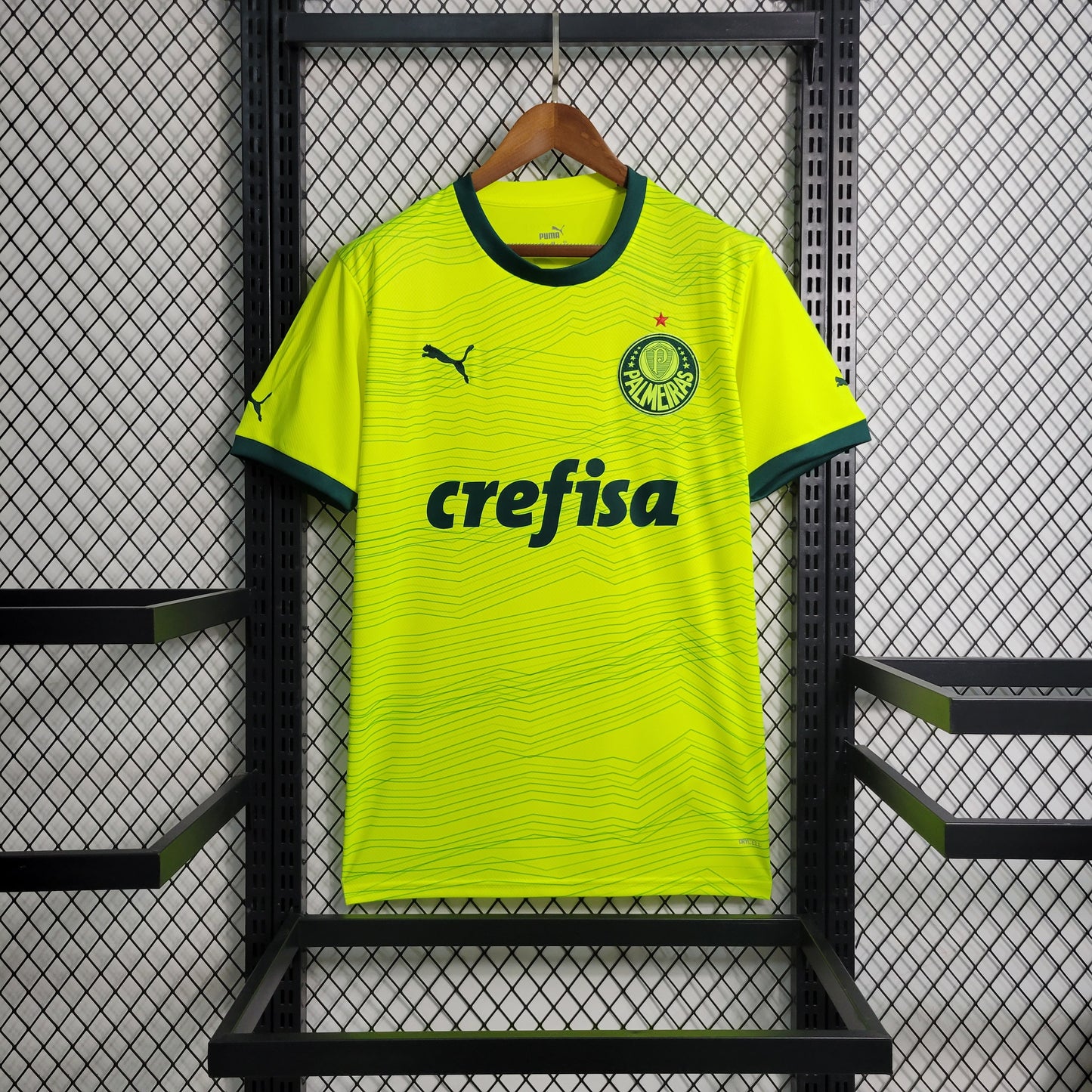 Camisa Palmeiras 23/24 - Versão Torcedor