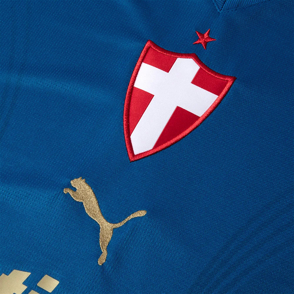 Camisa Palmeiras 3 - 26/27