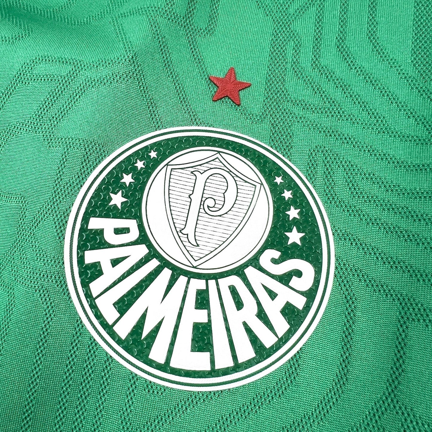 Camisa Palmeiras Treino 25/26 - Versão Torcedor