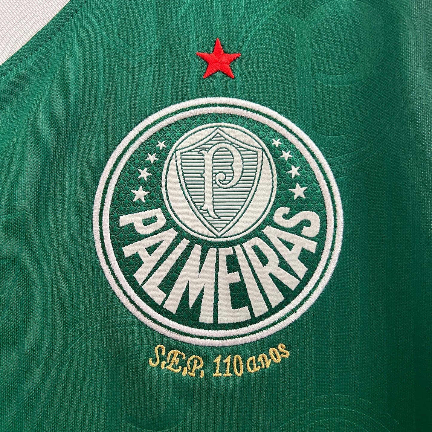 Regata Palmeiras Titular 24/25 - Versão Torcedor