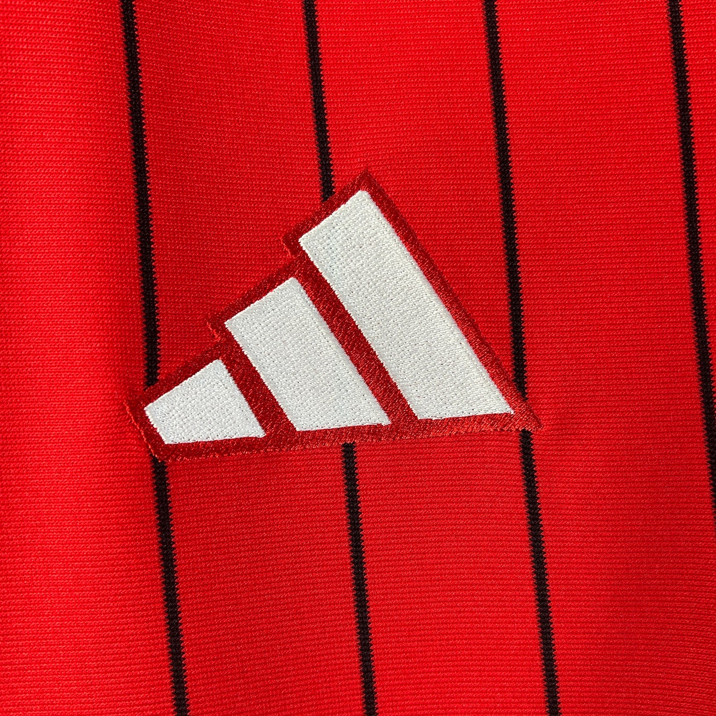 Camisa Flamengo Edição Especial 25/26  - Versão Torcedor