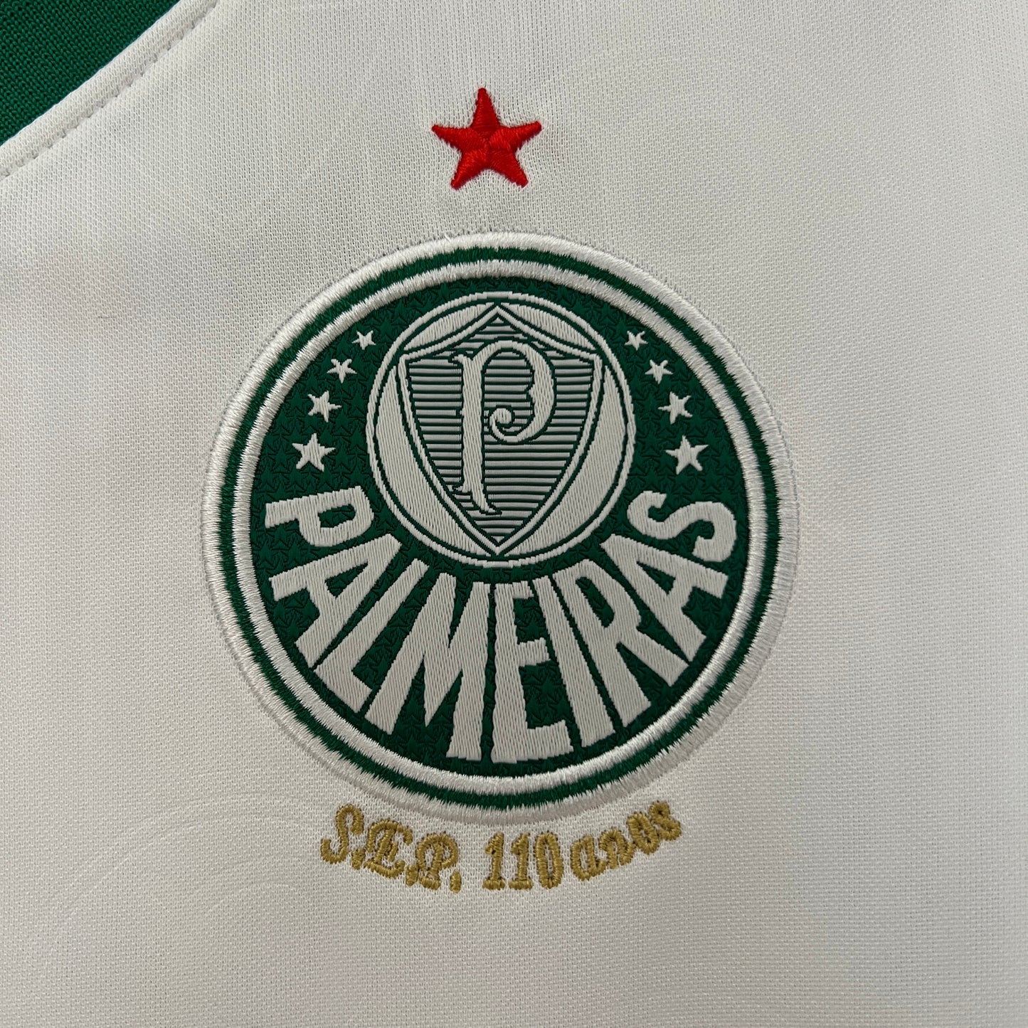 Camisa Palmeiras Reserva 24/25 - Versão Feminina