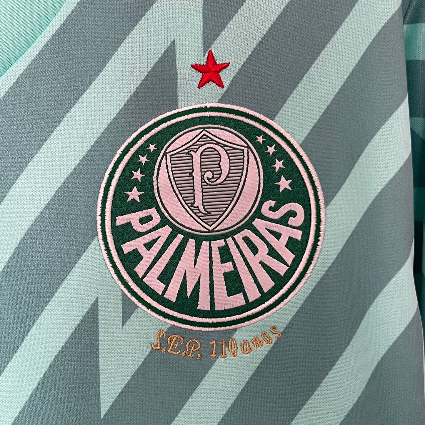 Camisa Palmeiras Goleiro 24/25 - Versão Torcedor