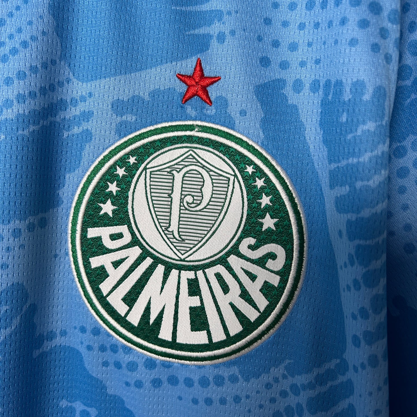 Camisa Palmeiras Goleiro 25/26 - Versão Torcedor