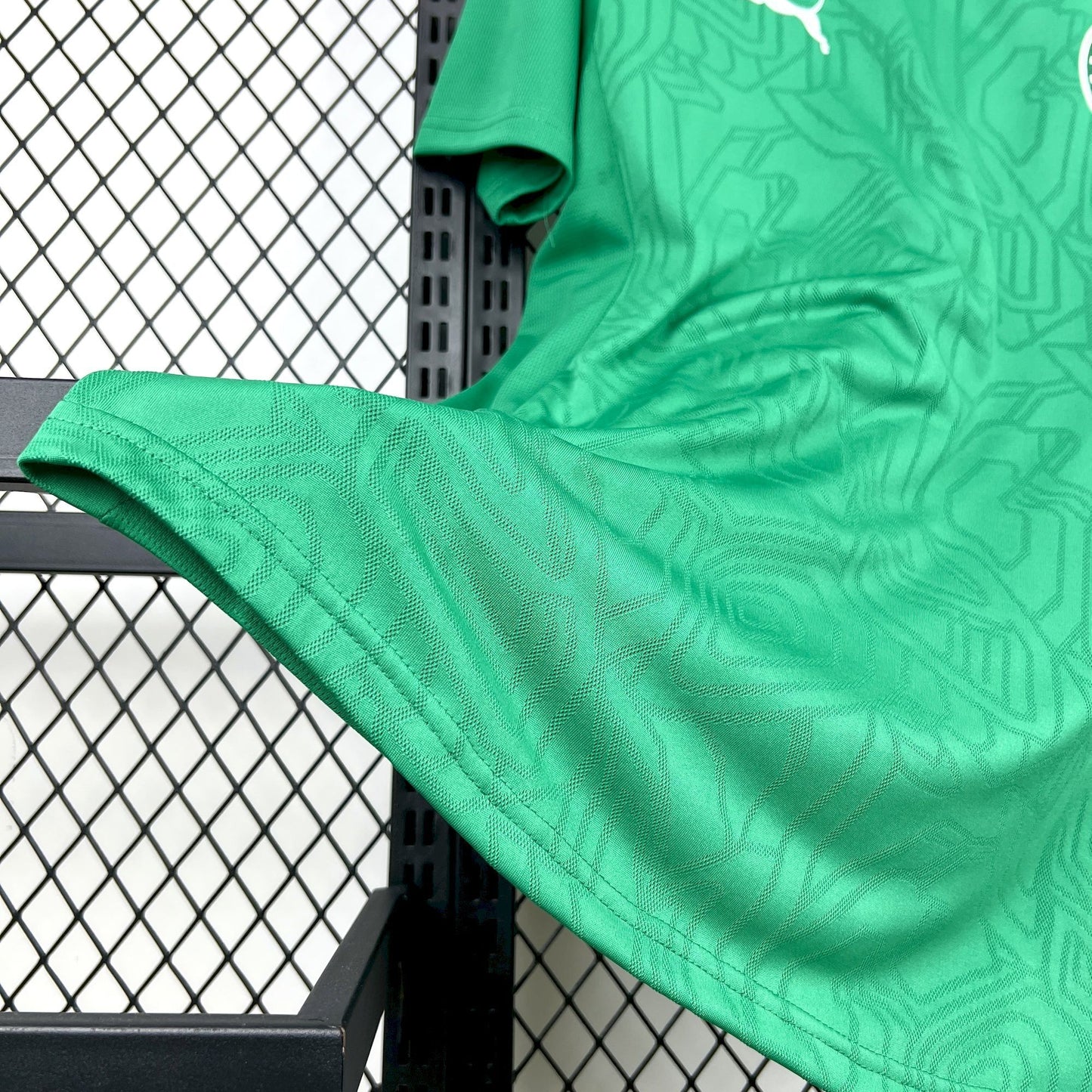 Camisa Palmeiras Treino 25/26 - Versão Torcedor