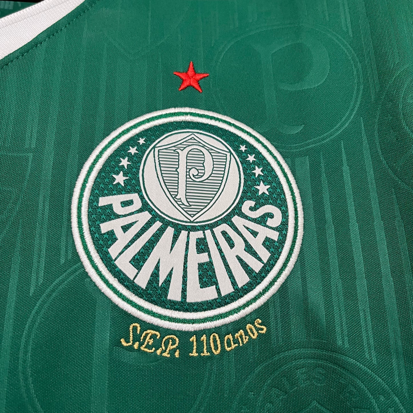Camisa Palmeiras Titular 24/25 - Versão Torcedor
