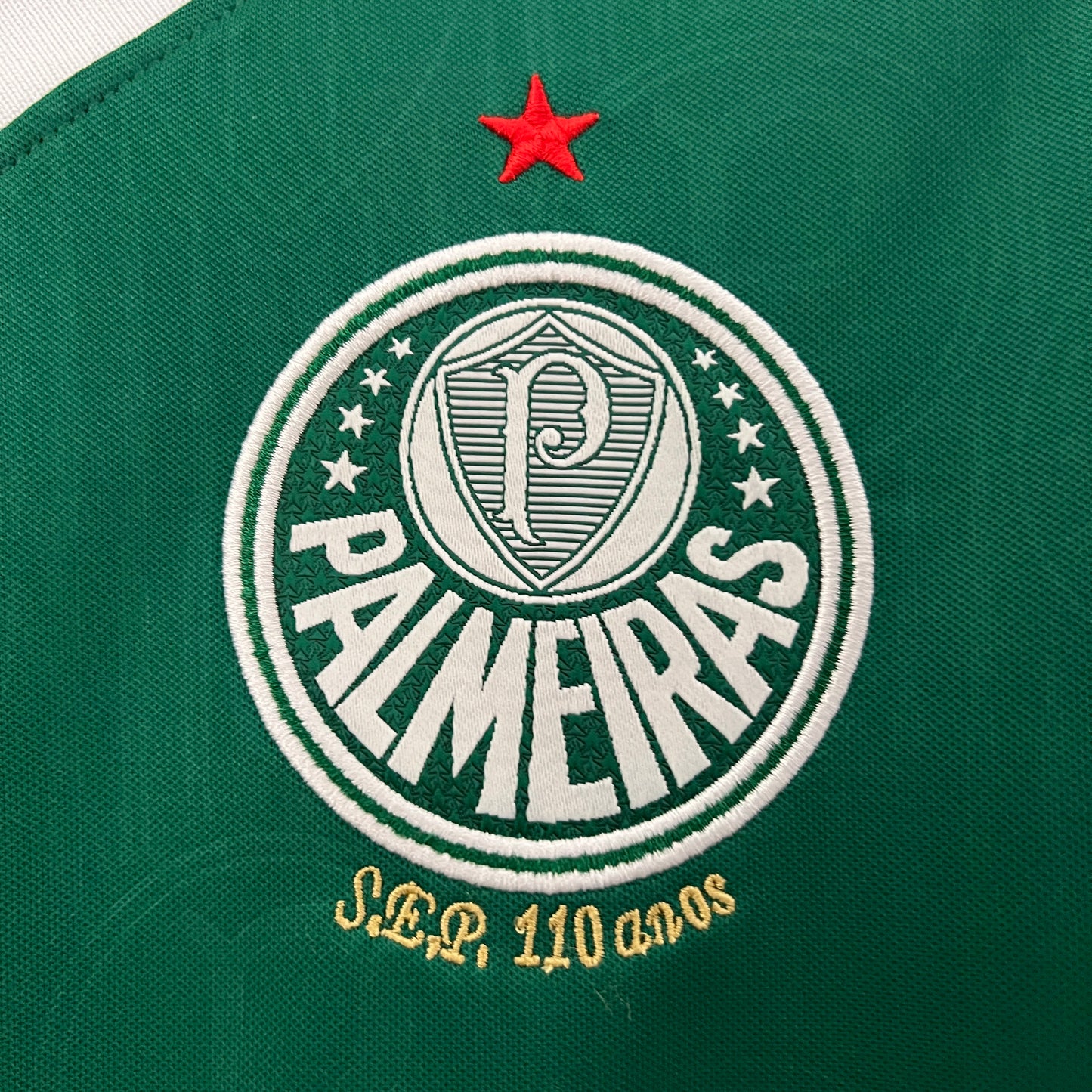 Camisa Palmeiras Titular 24/25 - Versão Feminina