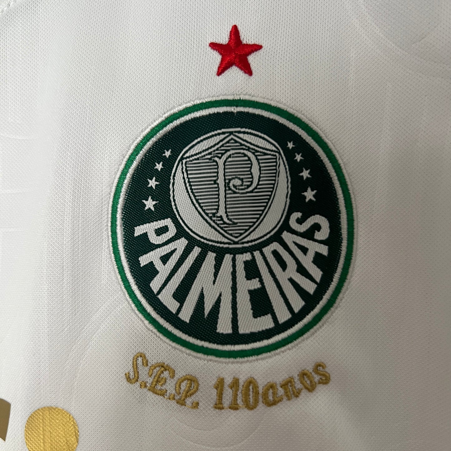 Kit Infantil Palmeiras Reserva  24/25